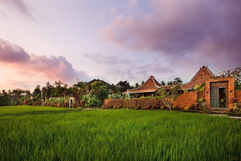 Naya Ubud Exteriör bild